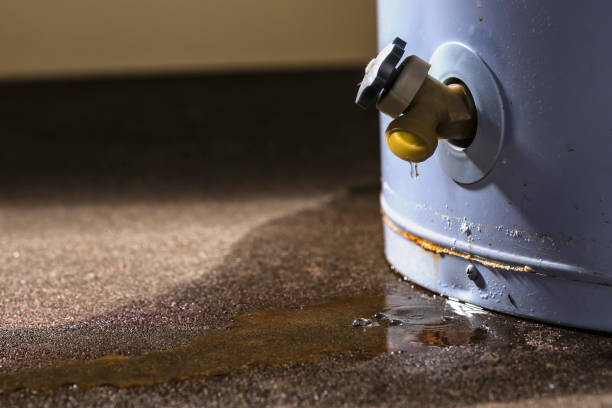 Best Water damage contractors near me  in Mountainhome, PA