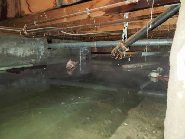Best Emergency water damage restoration  in Mountainhome, PA