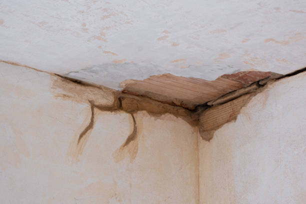 Best Local water damage restoration  in Mountainhome, PA